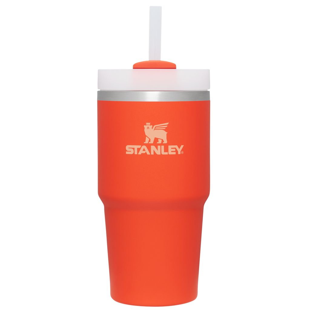 The Quencher H2.0 FlowState™ Tumbler | 20 OZ - Simple Daily Sips