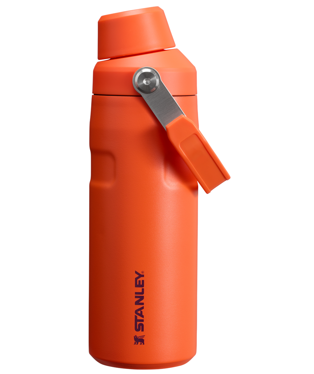 IceFlow™ Bottle with Fast Flow Lid | 16 OZ - Hydrate the Day