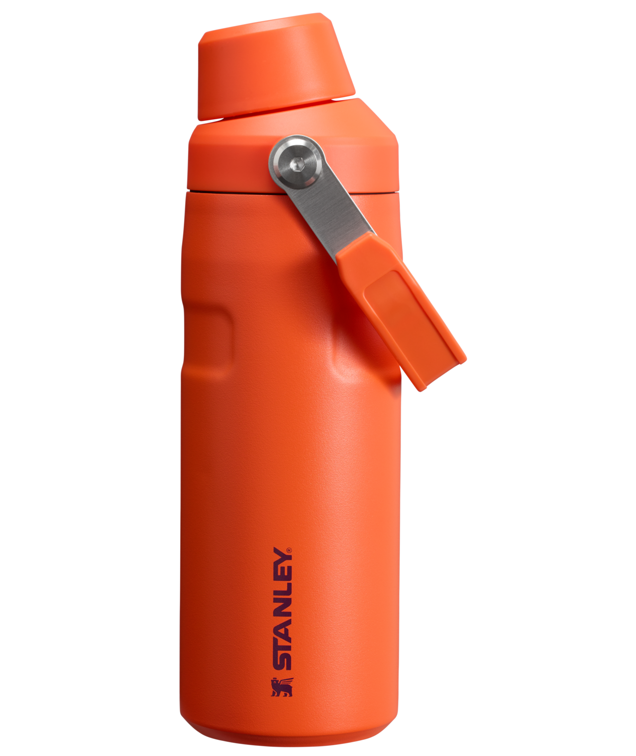 IceFlow™ Bottle with Fast Flow Lid | 16 OZ - Hydrate the Day