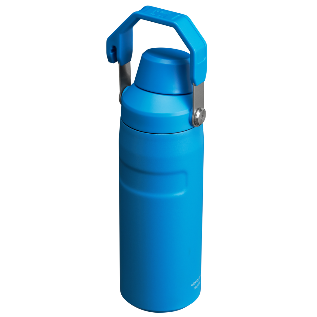 IceFlow™ Bottle with Fast Flow Lid | 16 OZ - Hydrate the Day