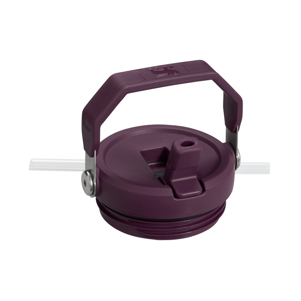 The IceFlow™ Flip Straw Tumbler | 20 OZ - Stanley Ready Daily