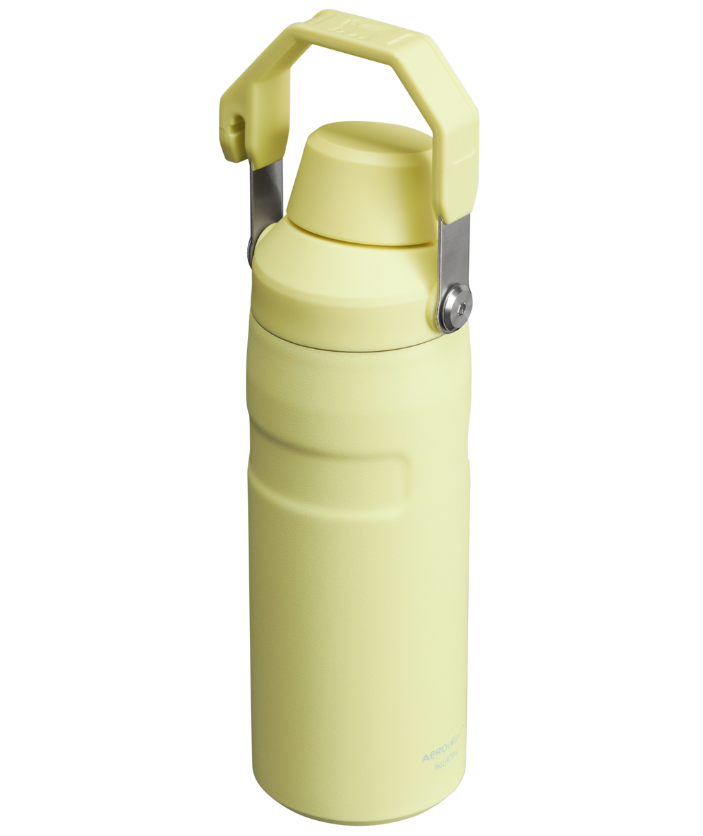 IceFlow™ Bottle with Fast Flow Lid | 16 OZ - Hydrate the Day