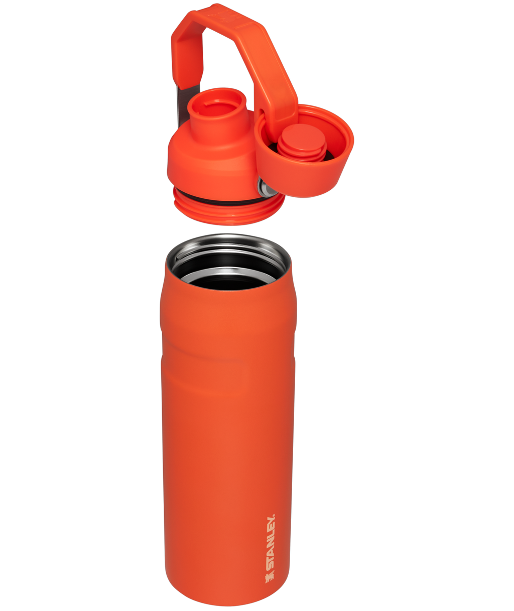IceFlow™ Bottle with Fast Flow Lid | 16 OZ - Hydrate the Day