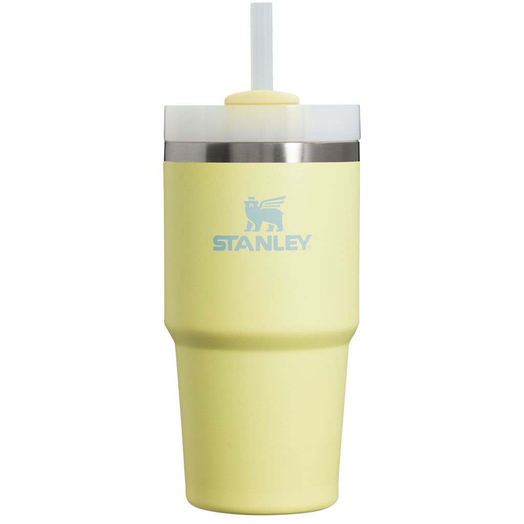 The Quencher H2.0 FlowState™ Tumbler | 20 OZ - Stanley Create - Simple Hydration Choice