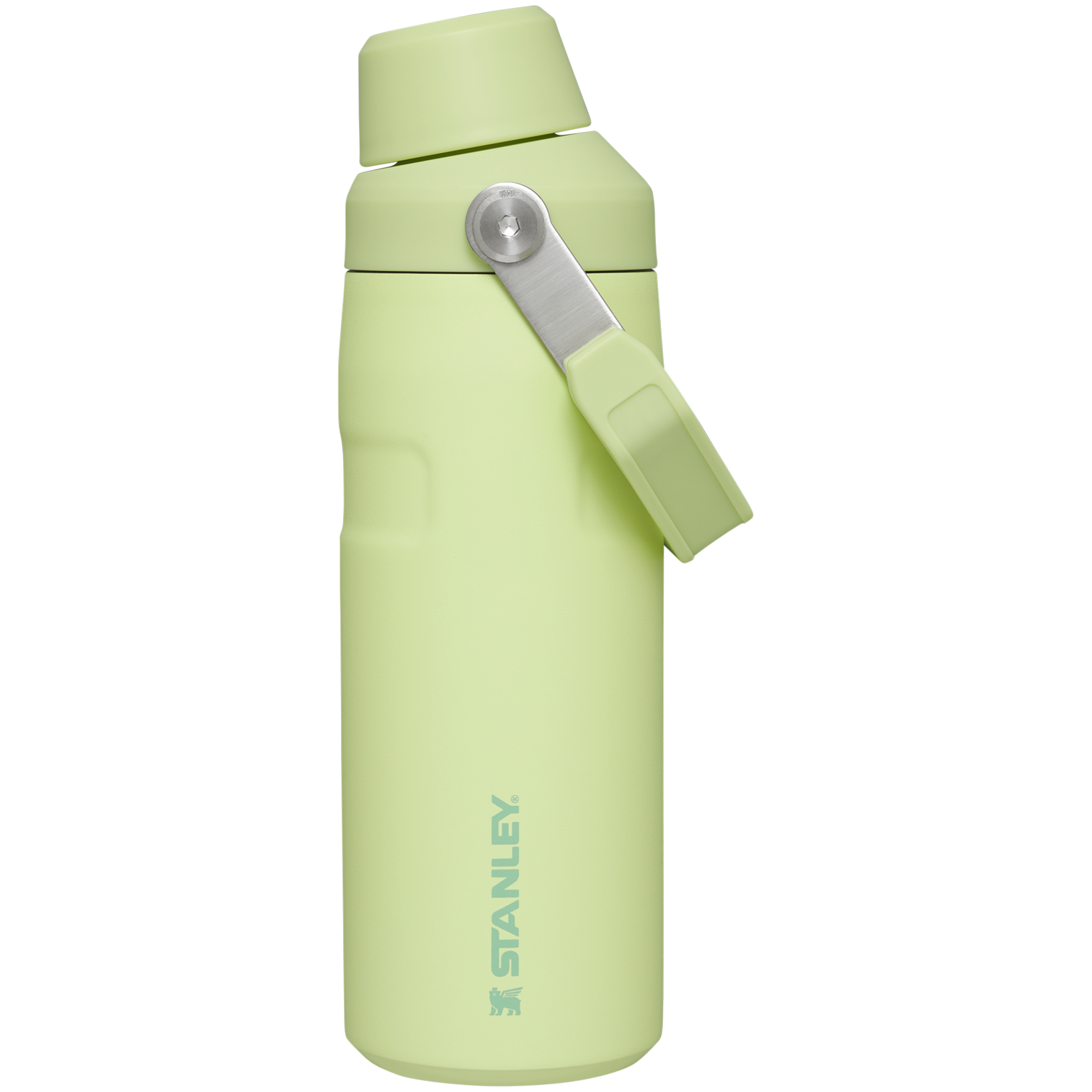 IceFlow™ Bottle with Fast Flow Lid | 16 OZ - Hydrate the Day