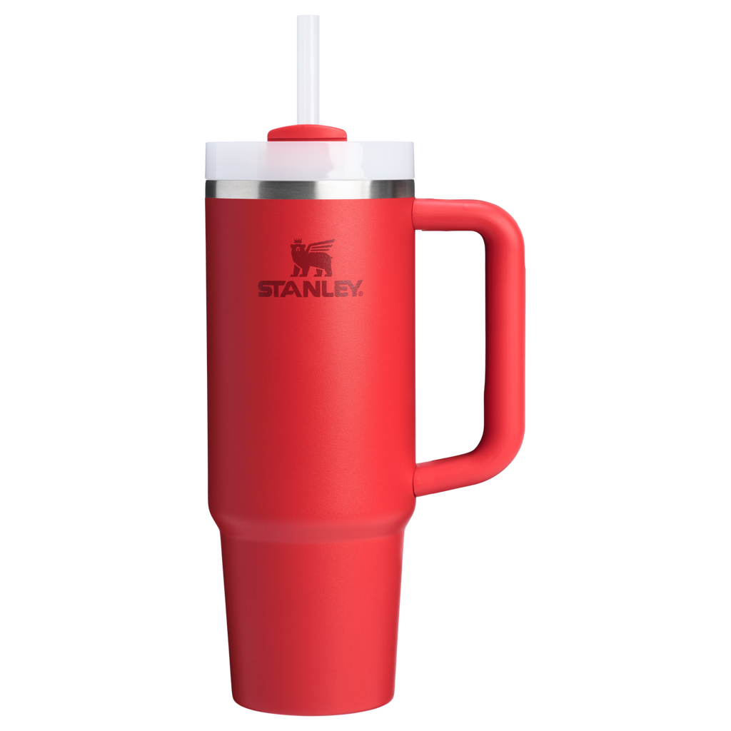 The Quencher H2.0 FlowState™ Tumbler | 20 OZ - Simple Daily Sips