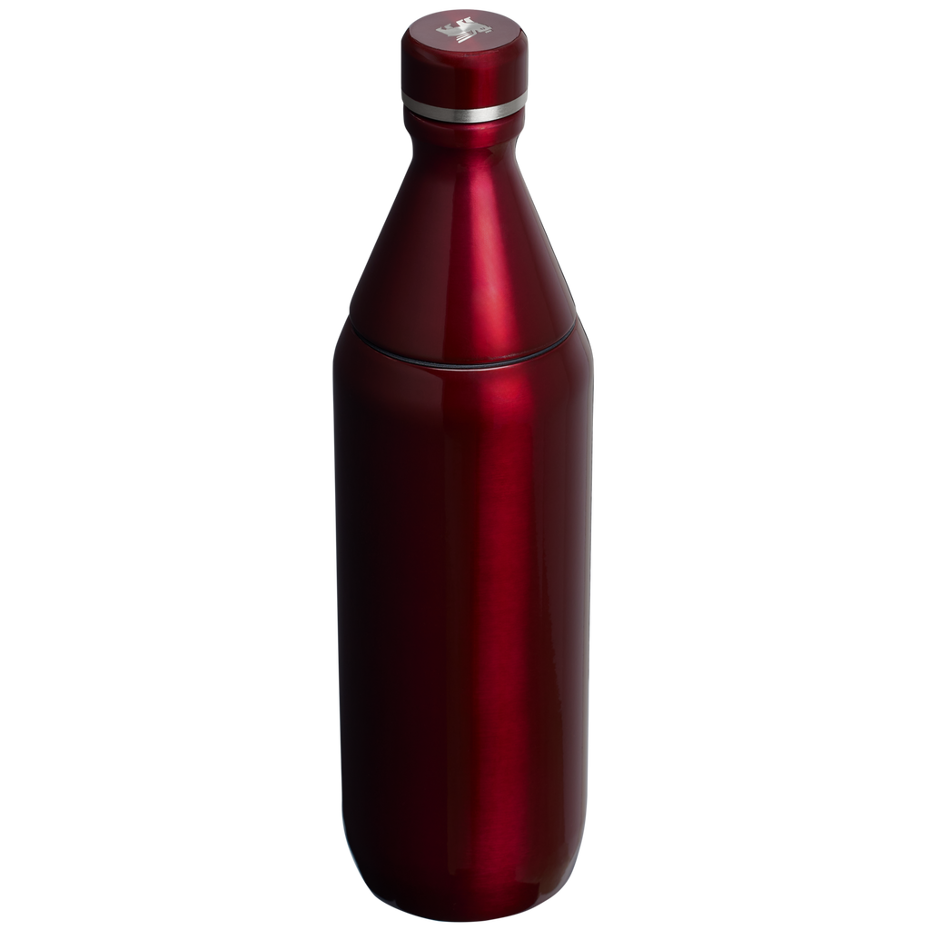 All Day Slim Bottle | 20 OZ - Stanley Create - Sip Your Way