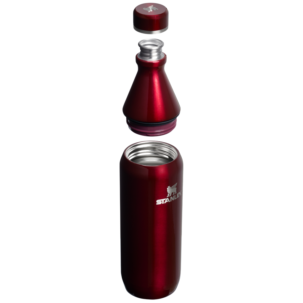 All Day Slim Bottle | 20 OZ - Stanley Create - Sip Your Way
