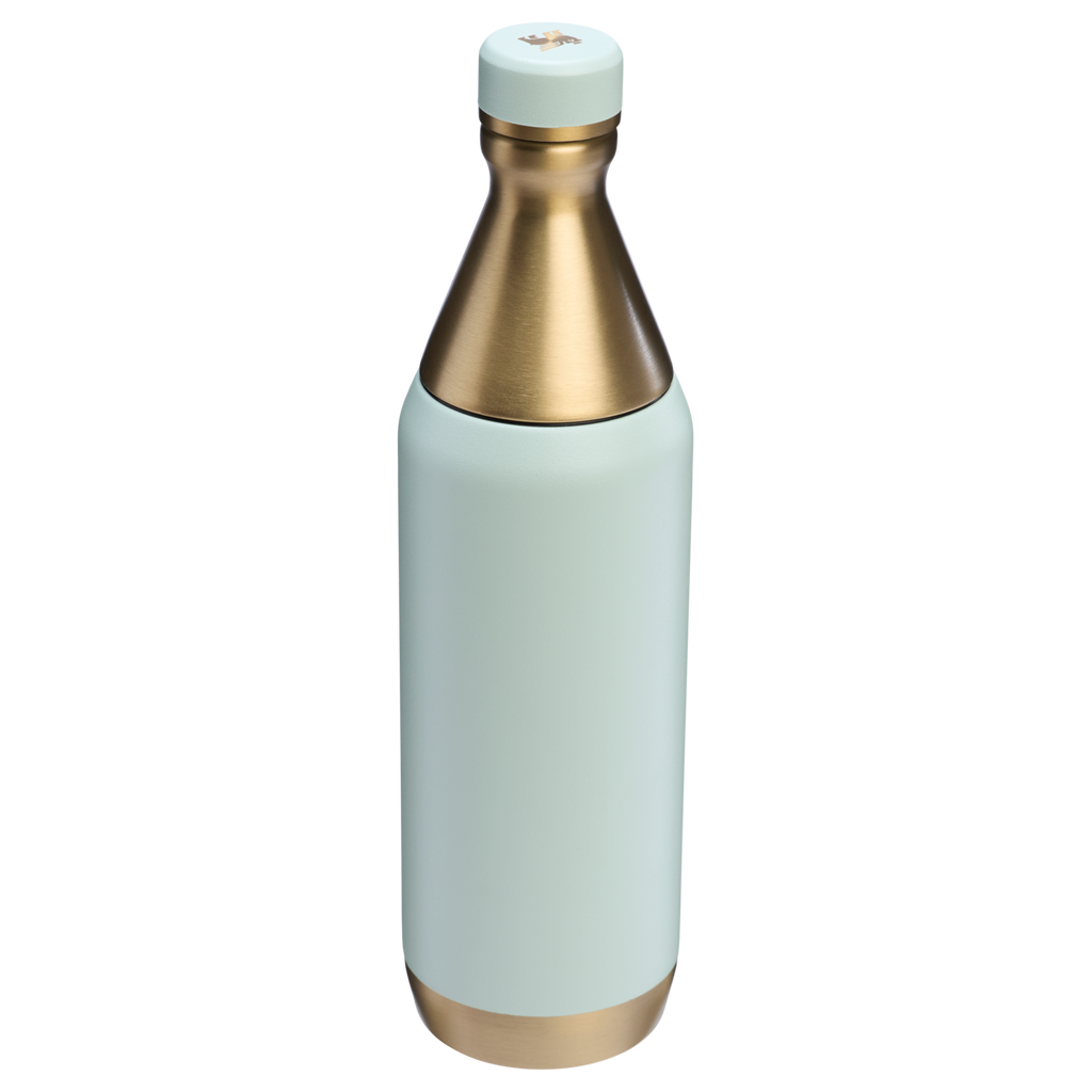 All Day Slim Bottle | 20 OZ - Stanley Create - Sip Your Way