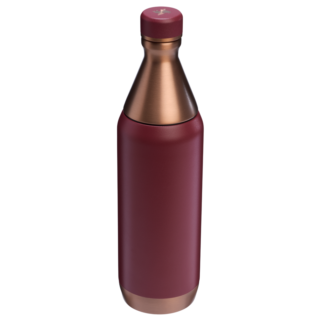 All Day Slim Bottle | 20 OZ - Stanley Create - Sip Your Way
