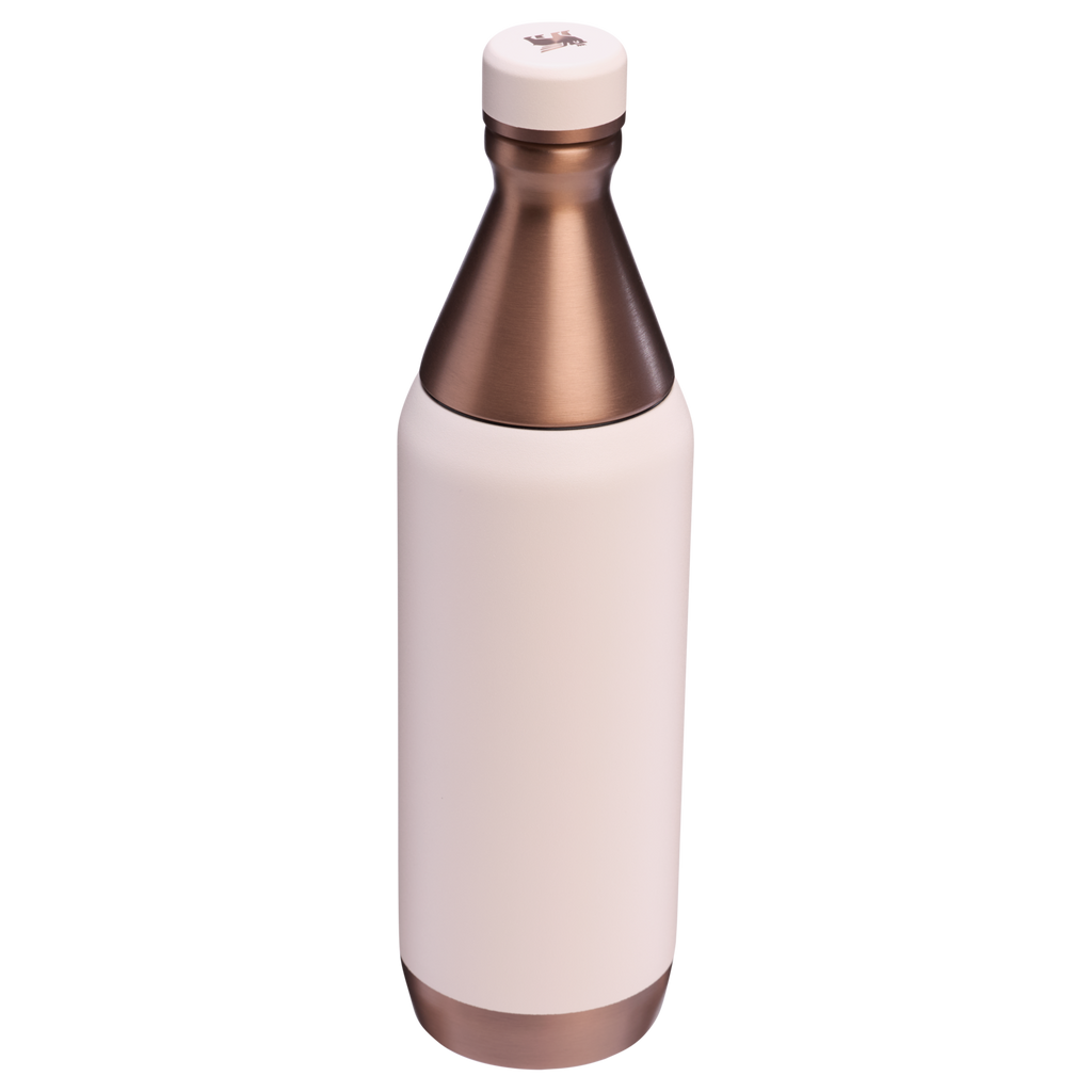 All Day Slim Bottle | 20 OZ - Stanley Create - Sip Your Way
