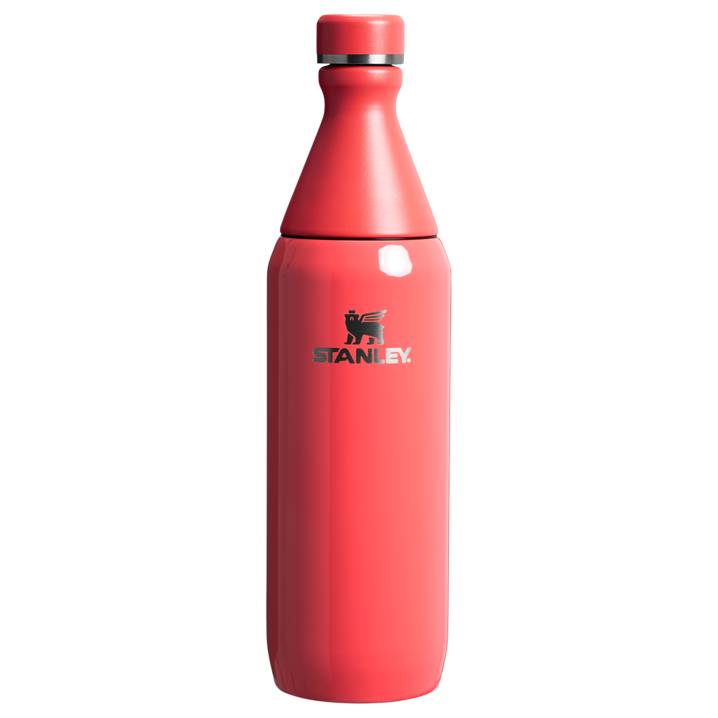 All Day Slim Bottle | 20 OZ - Stanley Create - Sip Your Way