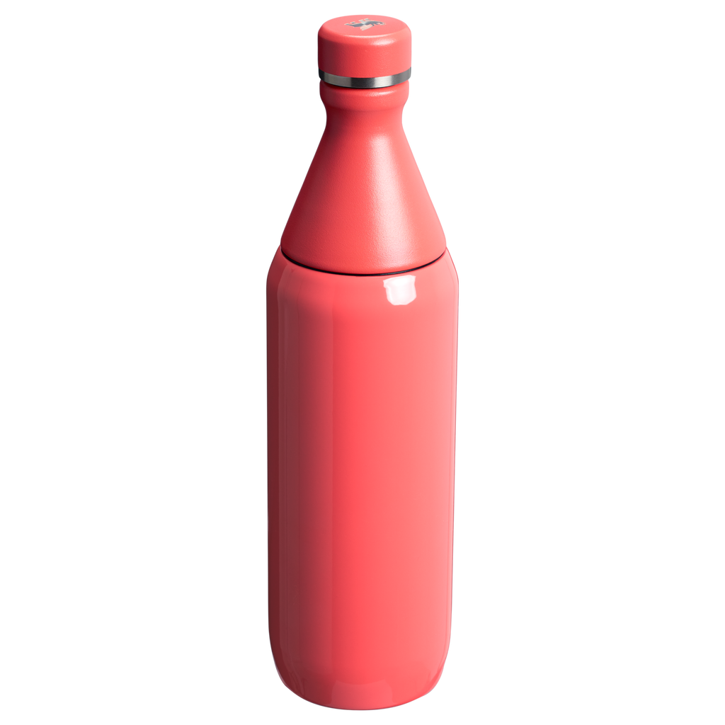 All Day Slim Bottle | 20 OZ - Stanley Create - Sip Your Way
