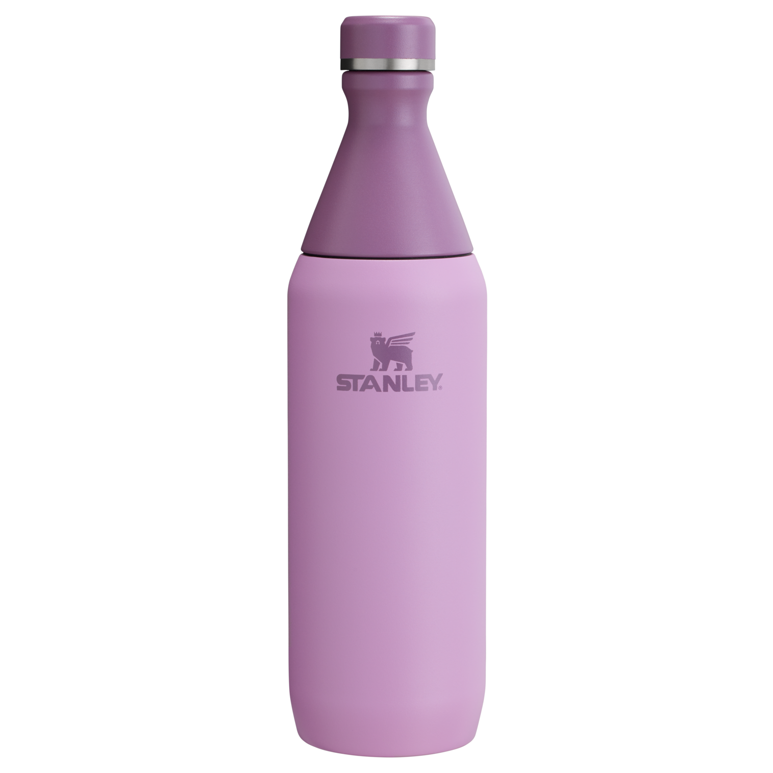 All Day Slim Bottle | 20 OZ - Stanley Create - Sip Your Way