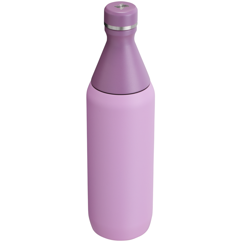 All Day Slim Bottle | 20 OZ - Stanley Create - Sip Your Way