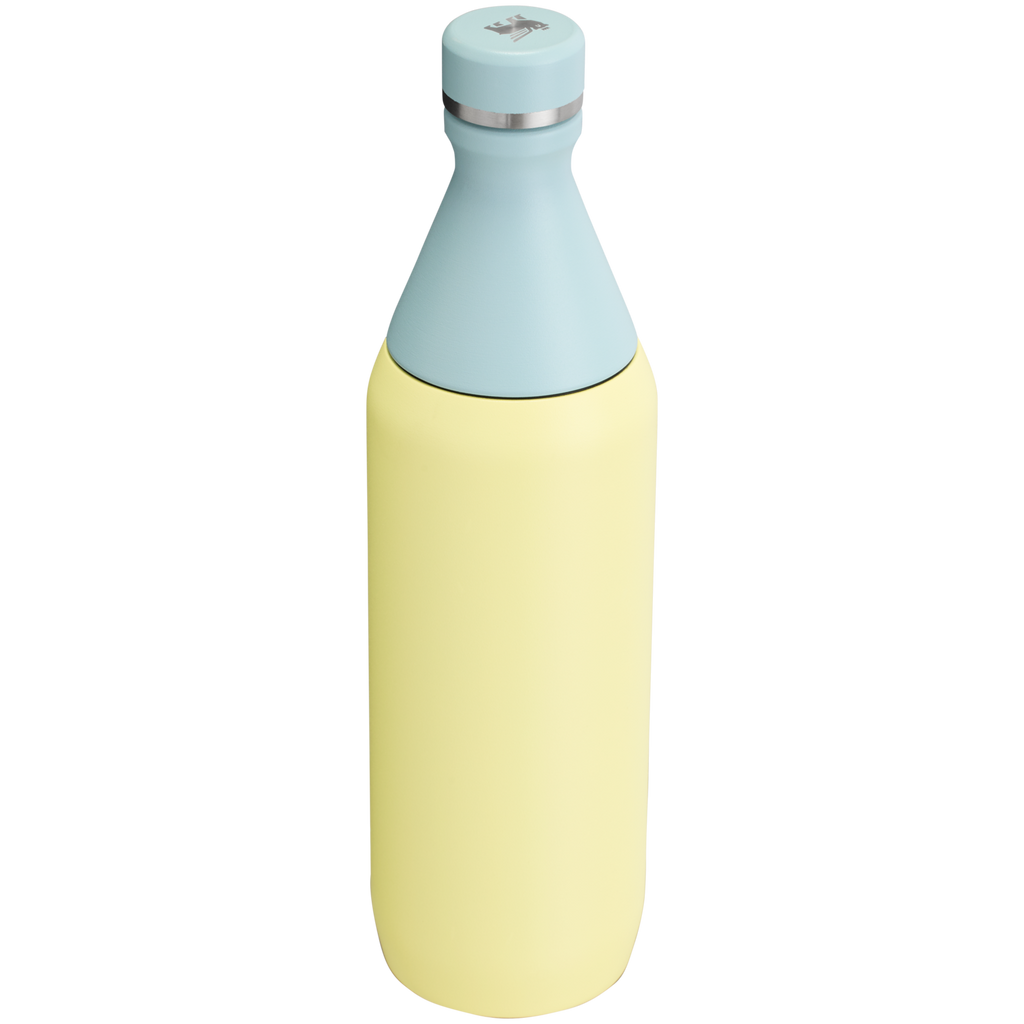 All Day Slim Bottle | 20 OZ - Stanley Create - Sip Your Way
