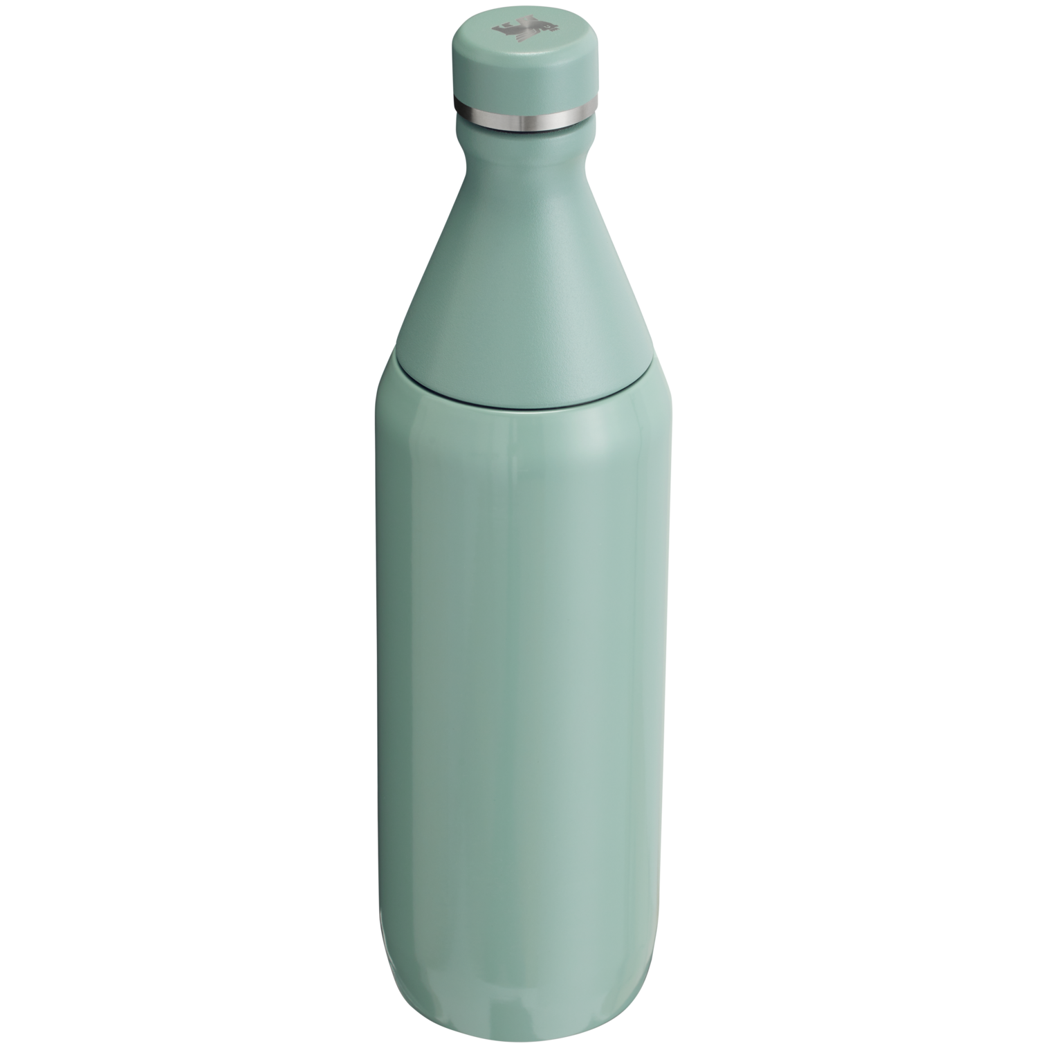 All Day Slim Bottle | 20 OZ - Stanley Create - Sip Your Way