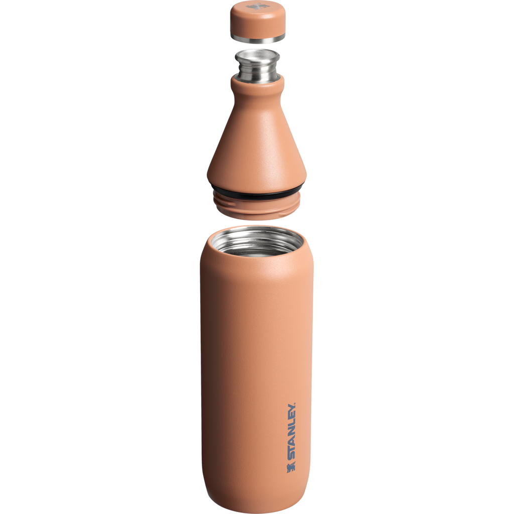 All Day Slim Bottle | 20 OZ - Stanley Create - Sip Your Way