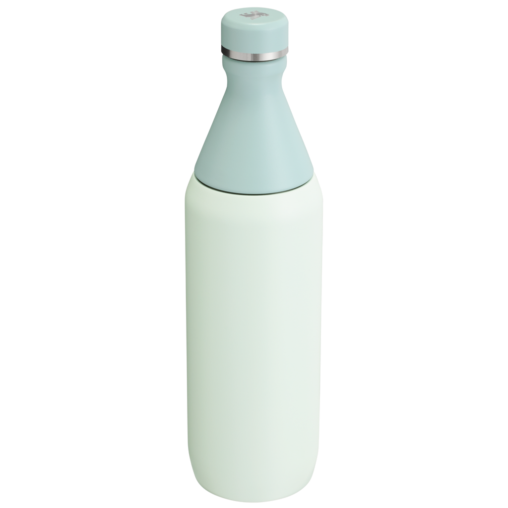 All Day Slim Bottle | 20 OZ - Stanley Create - Sip Your Way