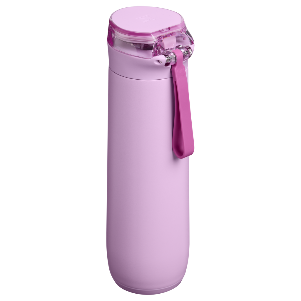 The Flowstate™ Spring Bottle | 20 OZ - Stanley for Travel