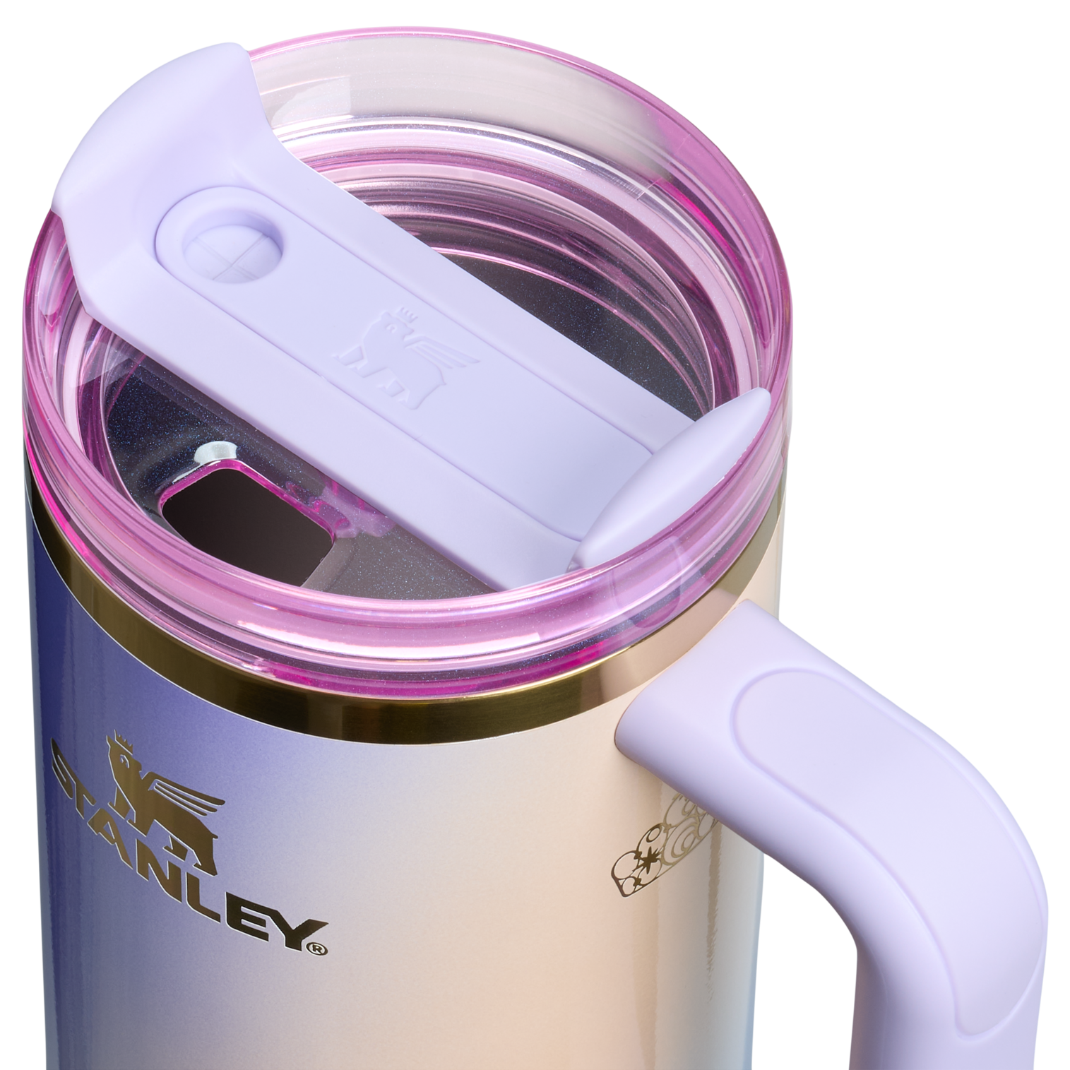 The Wicked for Good Quencher® H2.0 FlowState™ Tumbler | 30 OZ - Ready for Walks