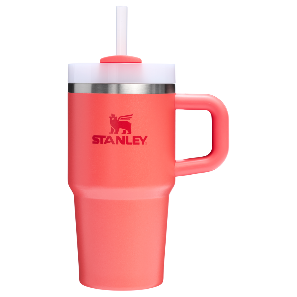 The Quencher H2.O FlowState™ Tumbler | 20 OZ - Sip and Go