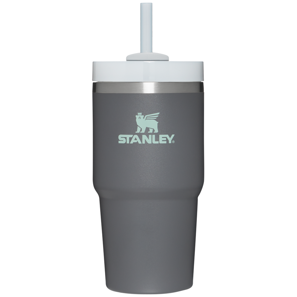 The Quencher H2.0 FlowState™ Tumbler | 20 OZ - Simple Daily Sips