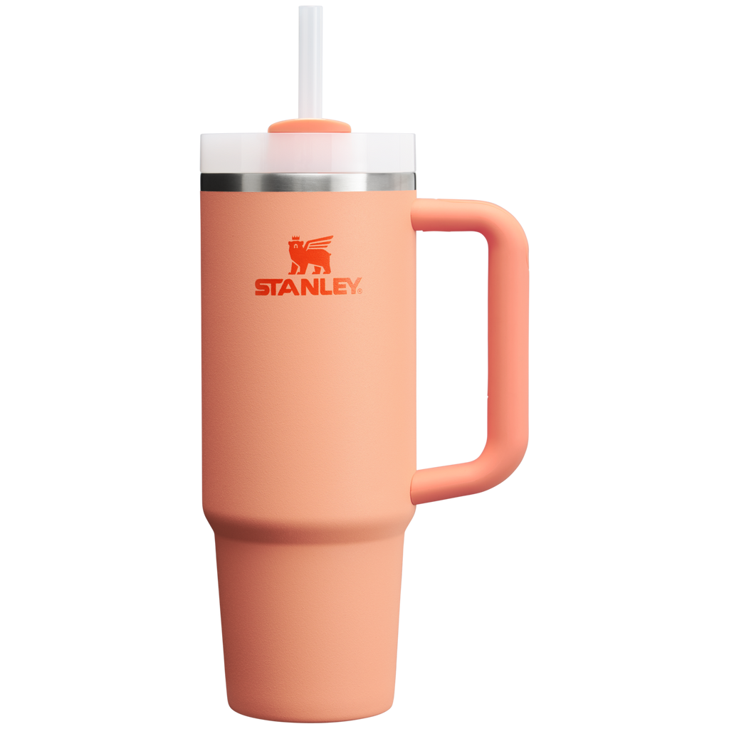 The Quencher H2.0 Flowstate™ Tumbler | 30 OZ - Stanley Create - Your Water Routine