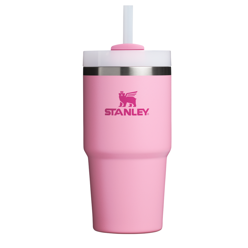The Quencher H2.0 FlowState™ Tumbler | 20 OZ - Simple Daily Sips