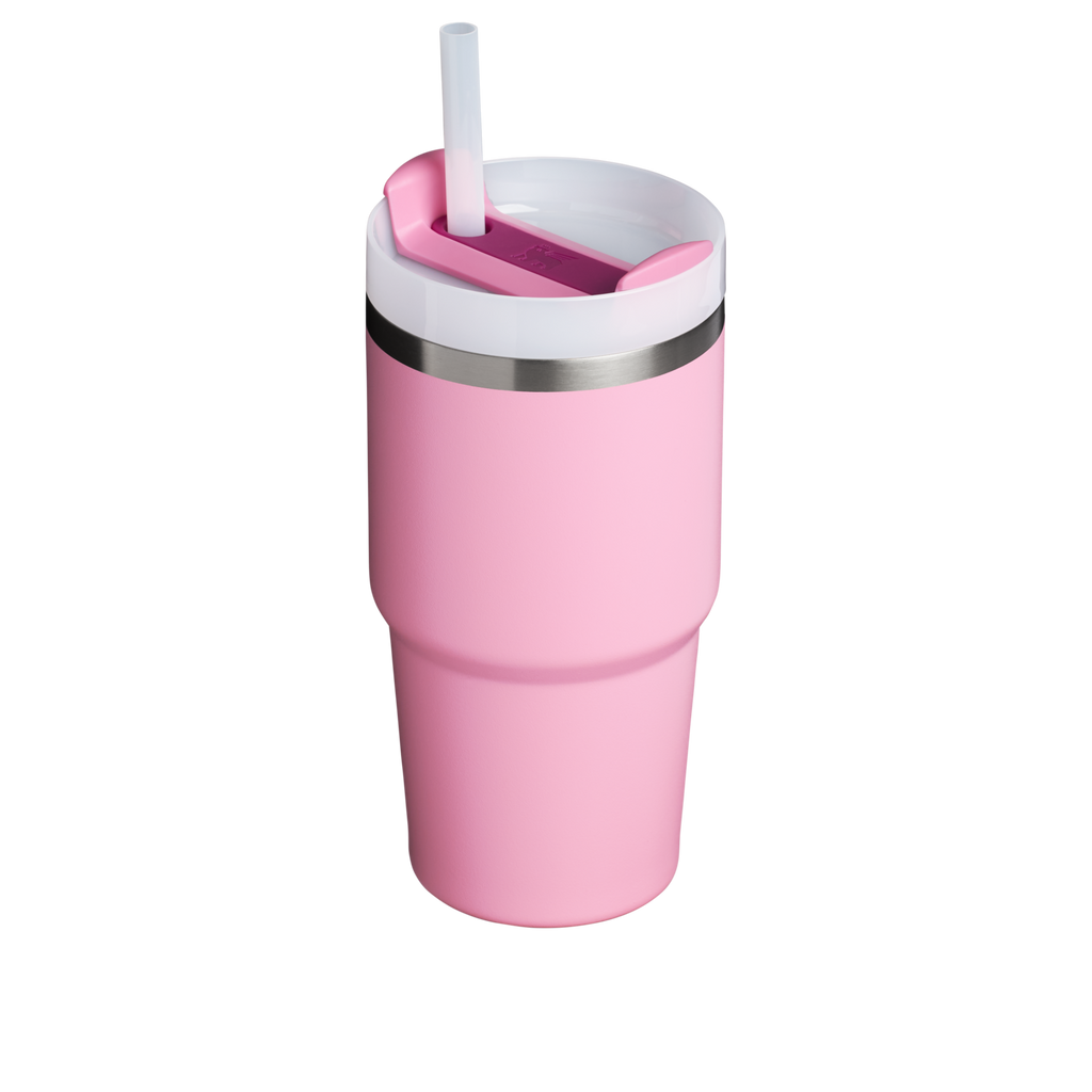 The Quencher H2.0 FlowState™ Tumbler | 20 OZ - Simple Daily Sips