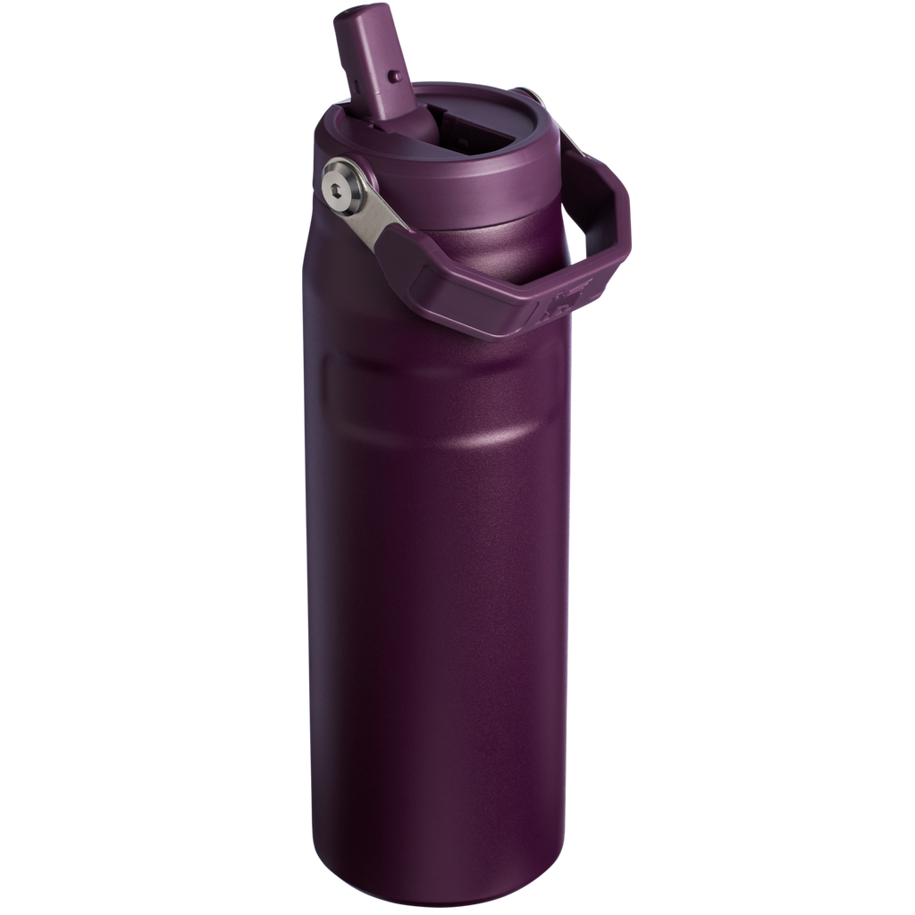The IceFlow™ Bottle with Flip Straw Lid | 24 OZ - Stanley Create - Water On the Go