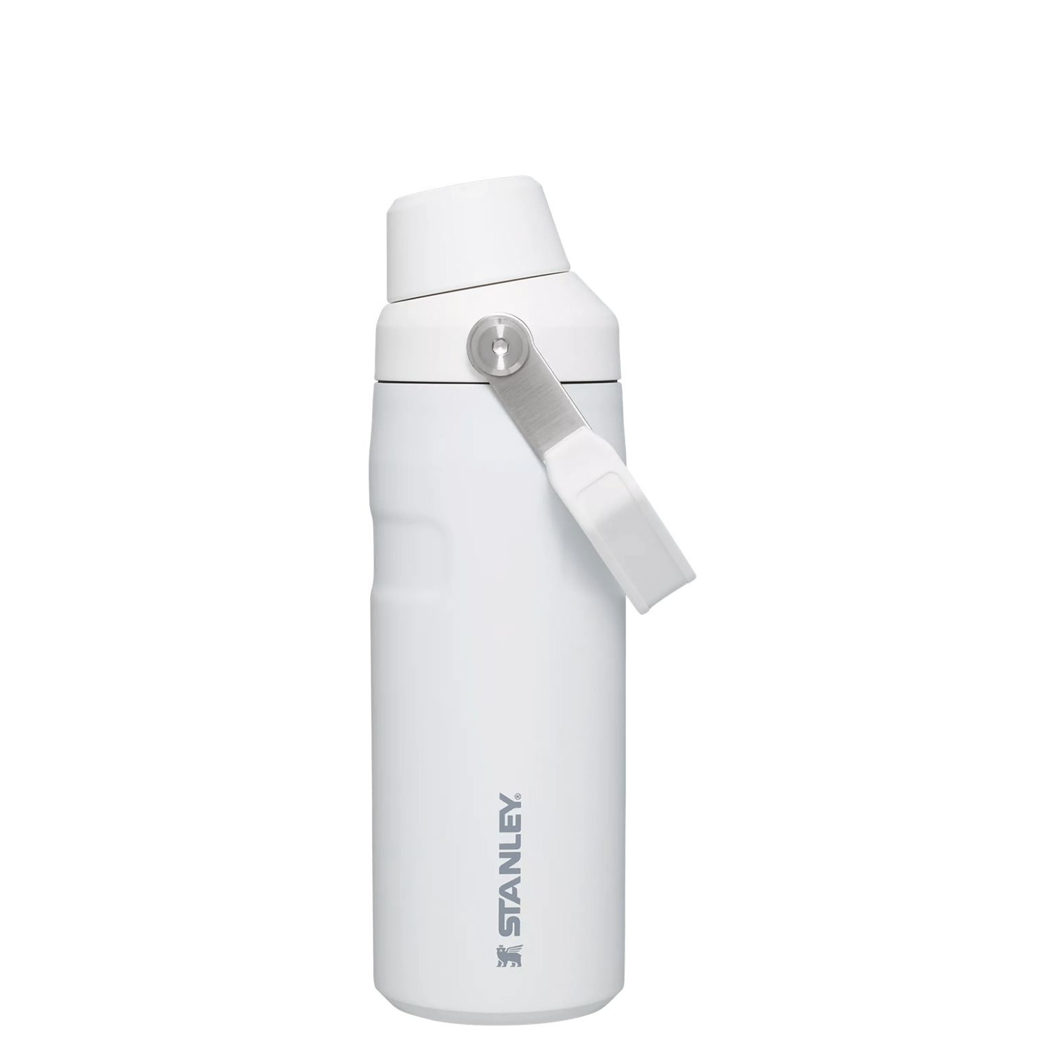 IceFlow™ Bottle with Fast Flow Lid | 16 OZ - Hydrate the Day