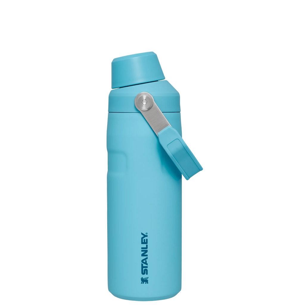 IceFlow™ Bottle with Fast Flow Lid | 16 OZ - Hydrate the Day