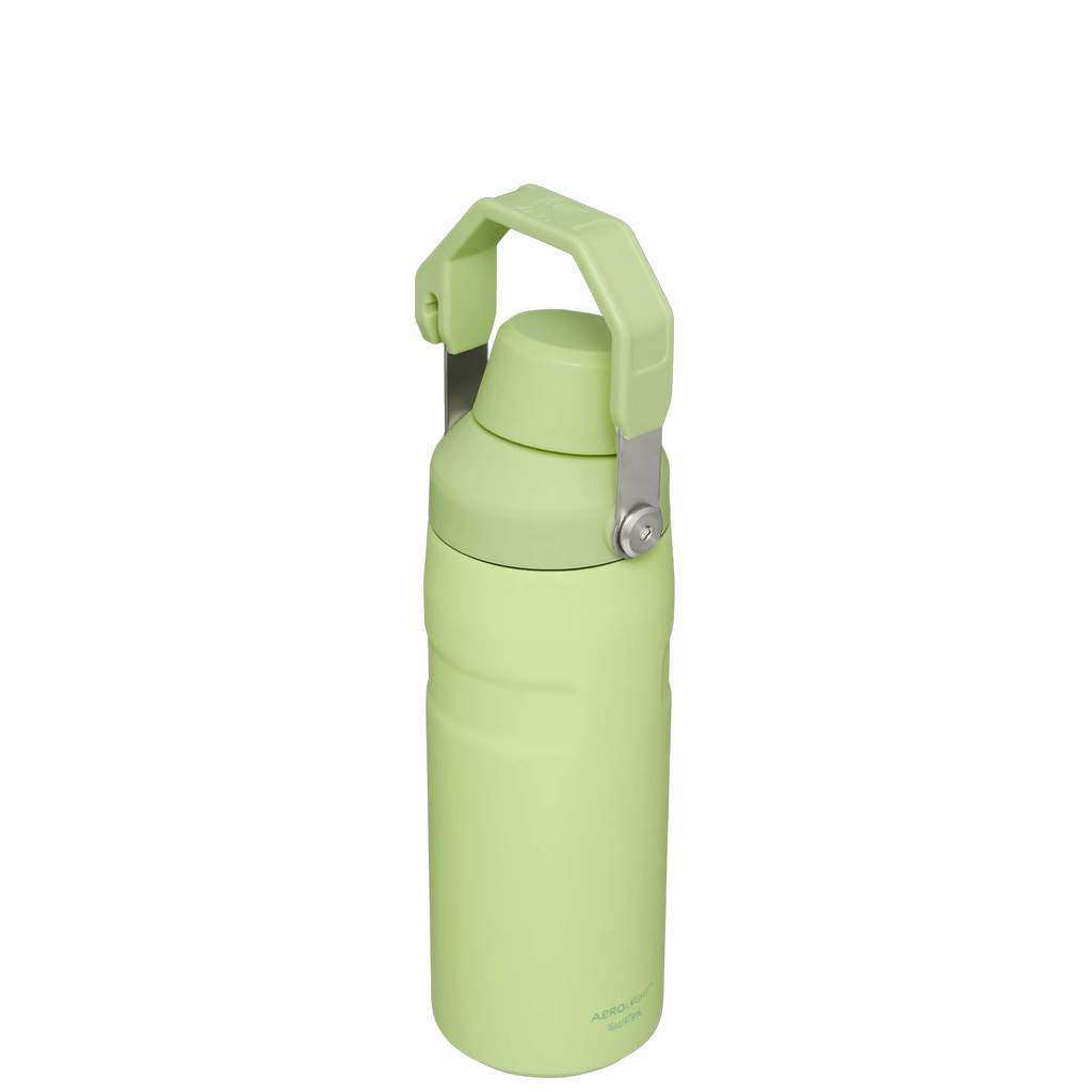 IceFlow™ Bottle with Fast Flow Lid | 16 OZ - Hydrate the Day