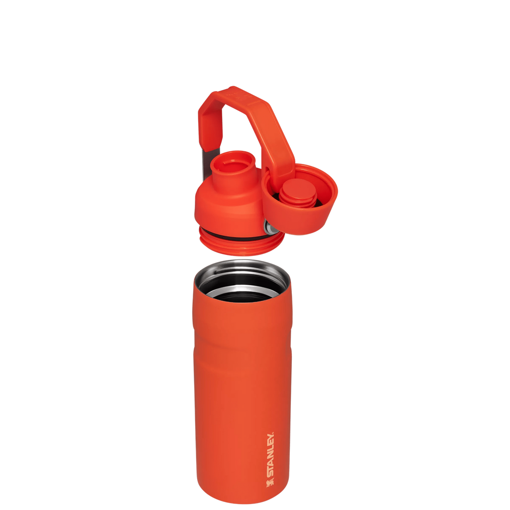 IceFlow™ Bottle with Fast Flow Lid | 16 OZ - Hydrate the Day