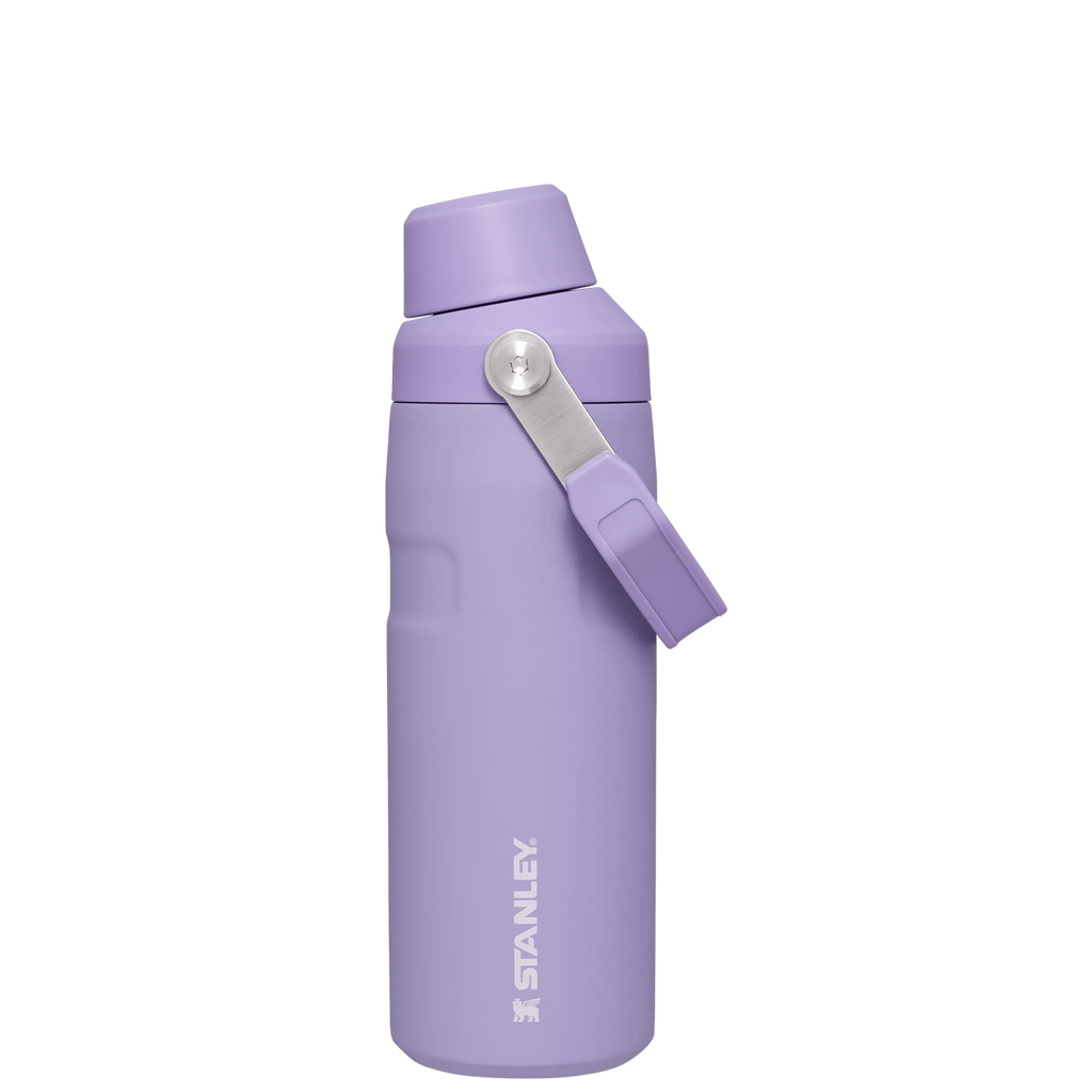 IceFlow™ Bottle with Fast Flow Lid | 16 OZ - Hydrate the Day