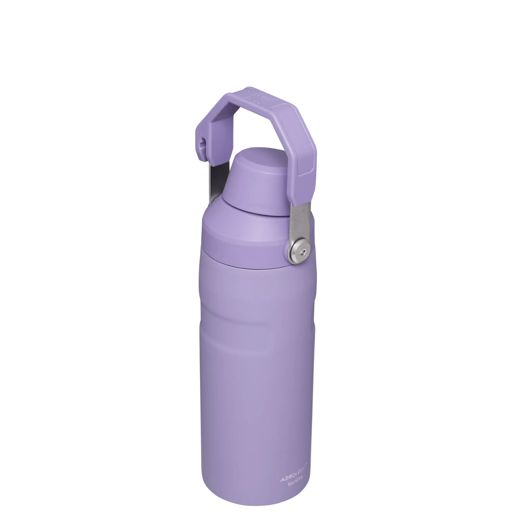 IceFlow™ Bottle with Fast Flow Lid | 16 OZ - Hydrate the Day
