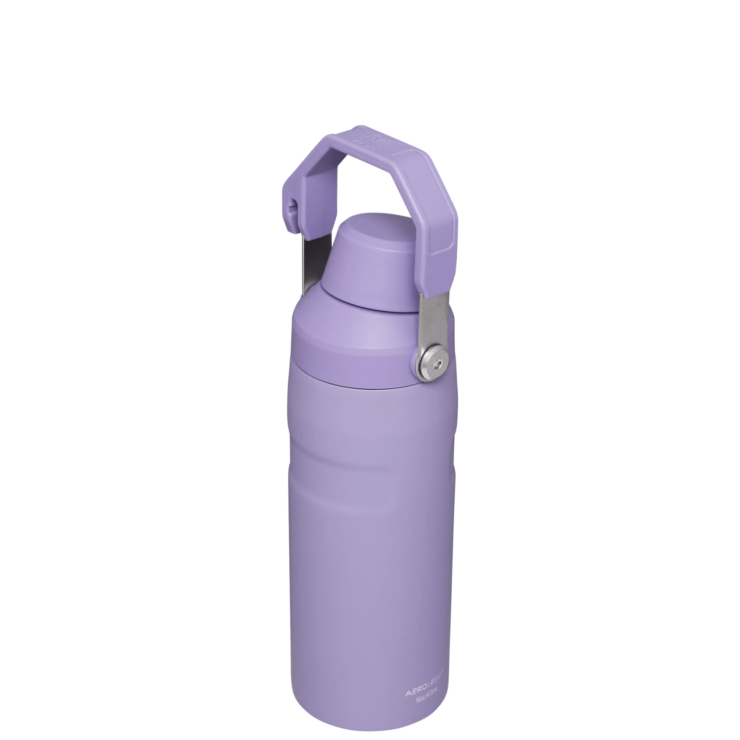 IceFlow™ Bottle with Fast Flow Lid | 16 OZ - Hydrate the Day