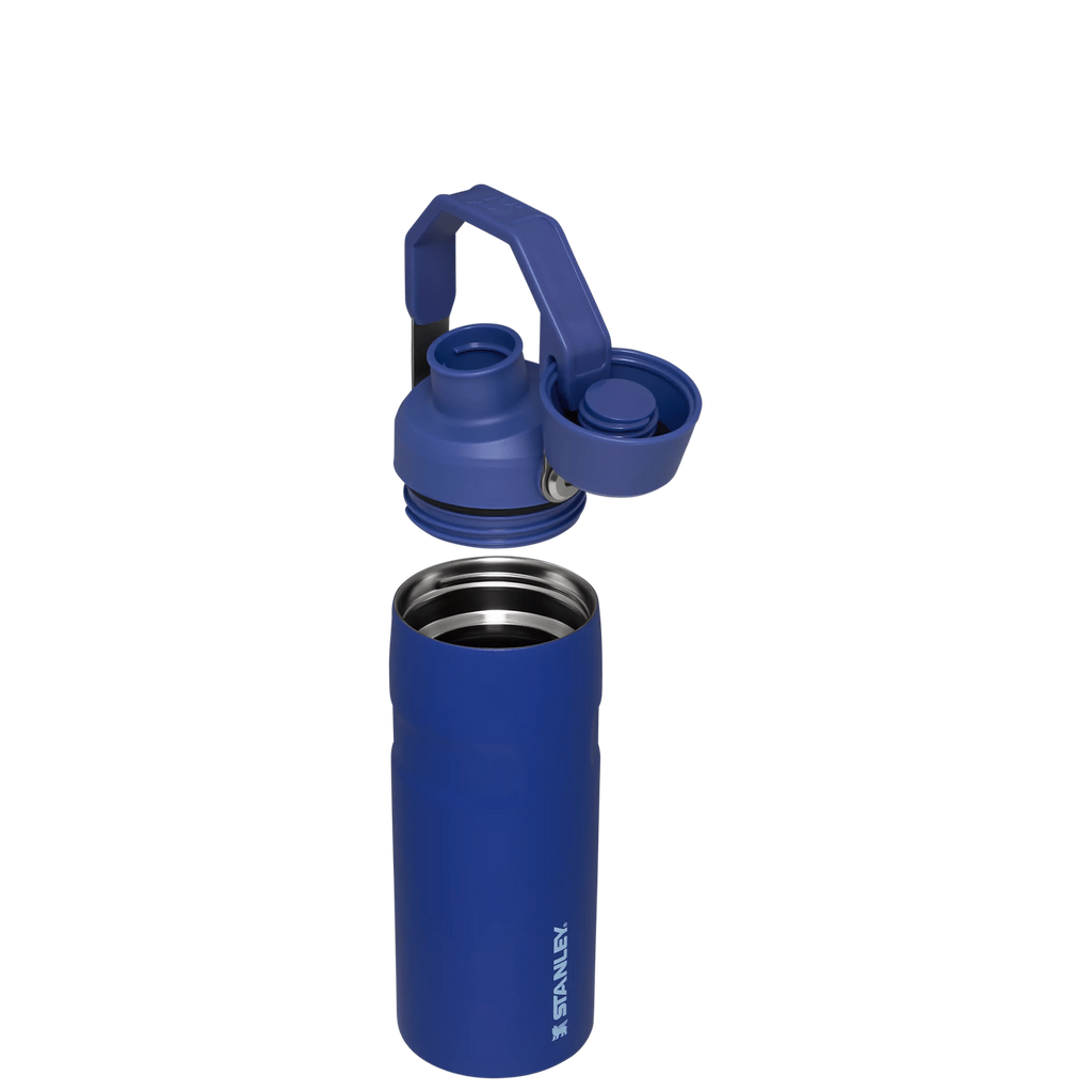 IceFlow™ Bottle with Fast Flow Lid | 16 OZ - Hydrate the Day