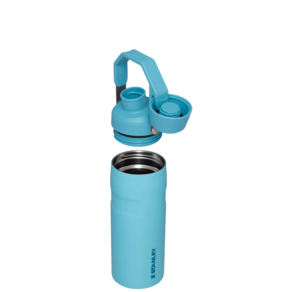 IceFlow™ Bottle with Fast Flow Lid | 16 OZ - Hydrate the Day