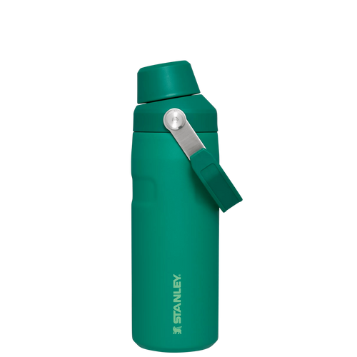 IceFlow™ Bottle with Fast Flow Lid | 16 OZ - Hydrate the Day