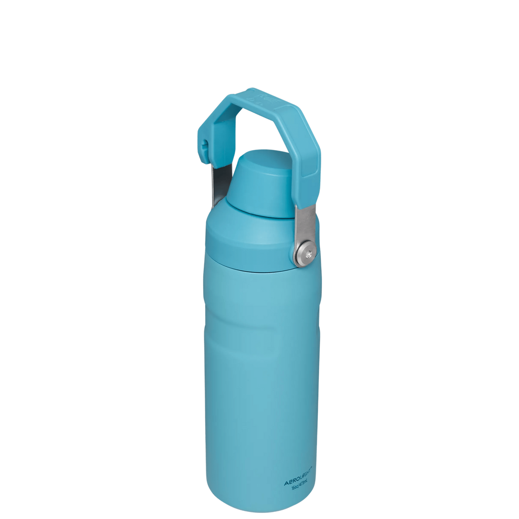 IceFlow™ Bottle with Fast Flow Lid | 16 OZ - Hydrate the Day
