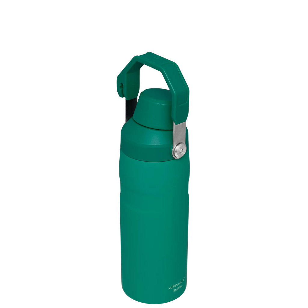 IceFlow™ Bottle with Fast Flow Lid | 16 OZ - Hydrate the Day