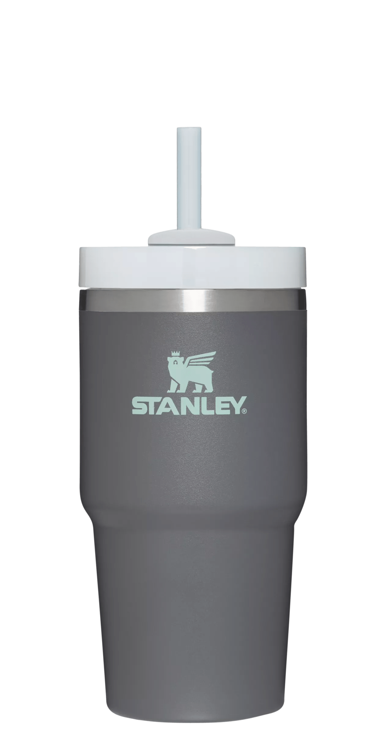 The Quencher H2.0 FlowState™ Tumbler | 20 OZ - Stanley Create - Simple Hydration Choice