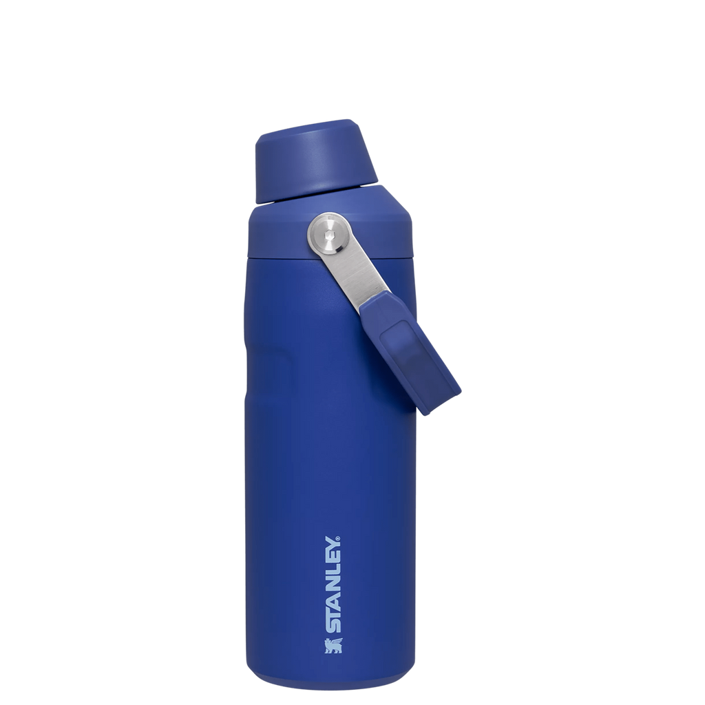 IceFlow™ Bottle with Fast Flow Lid | 16 OZ - Hydrate the Day