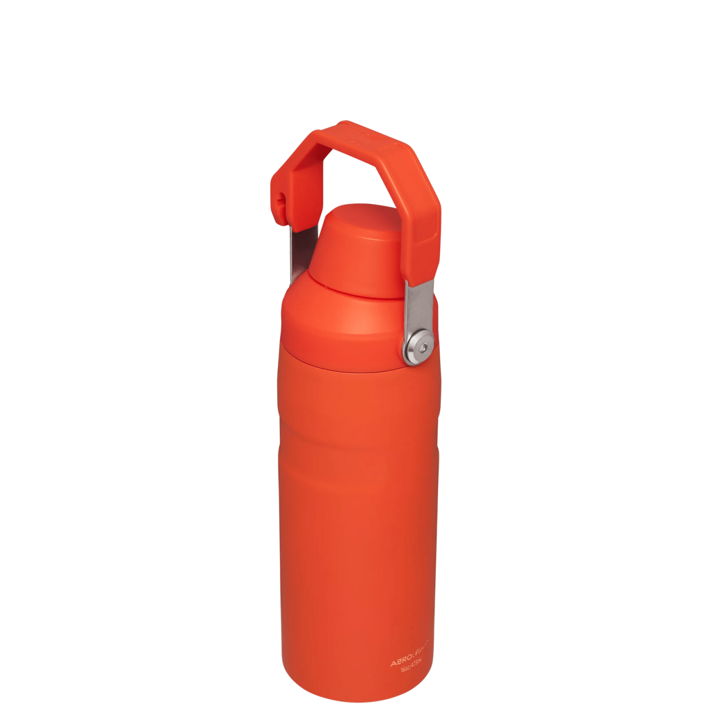 IceFlow™ Bottle with Fast Flow Lid | 16 OZ - Hydrate the Day