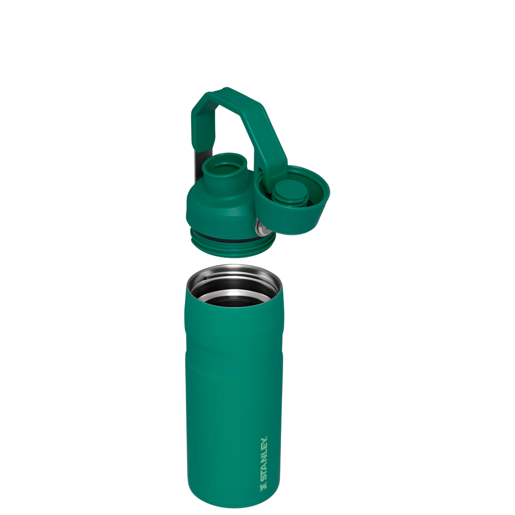 IceFlow™ Bottle with Fast Flow Lid | 16 OZ - Hydrate the Day