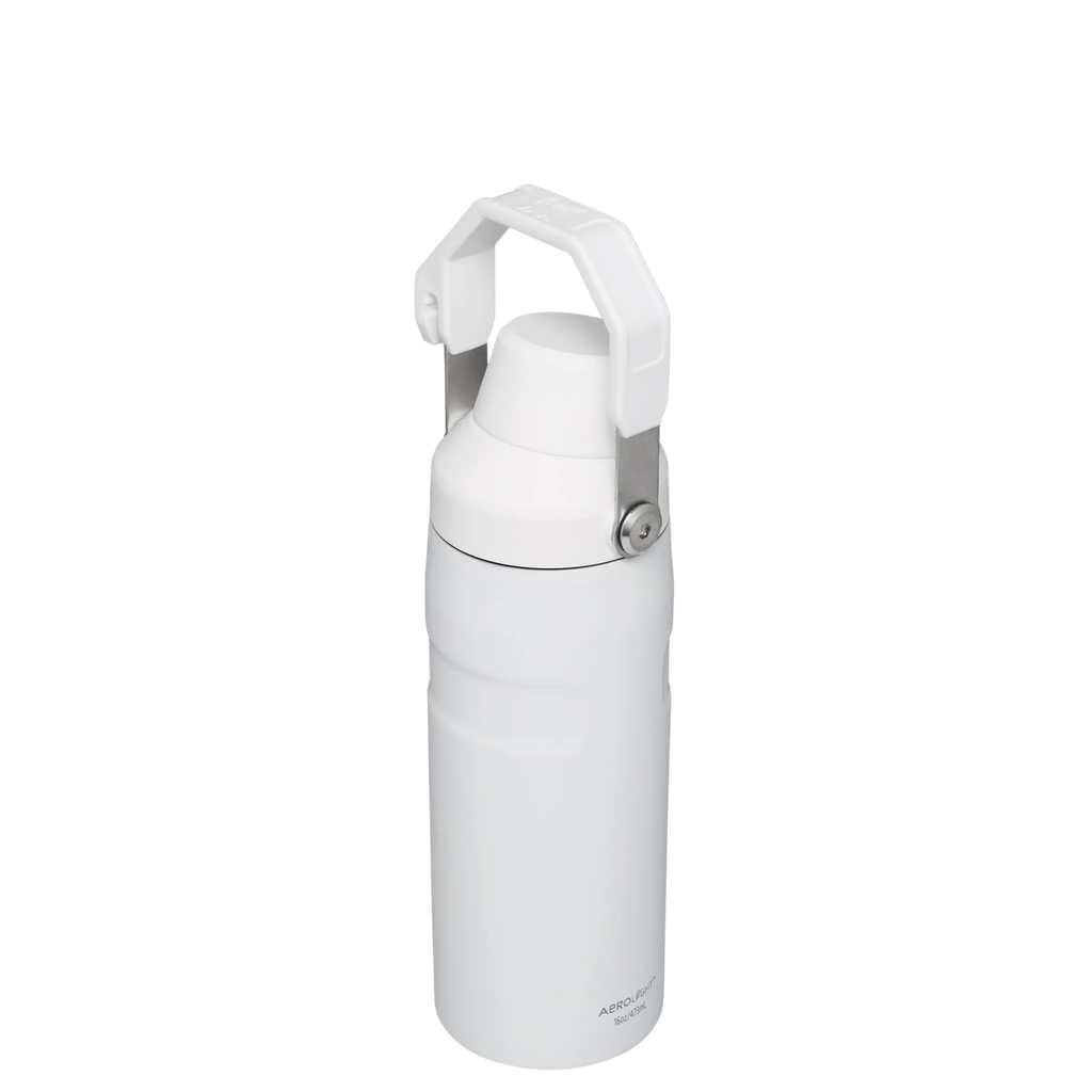 IceFlow™ Bottle with Fast Flow Lid | 16 OZ - Hydrate the Day