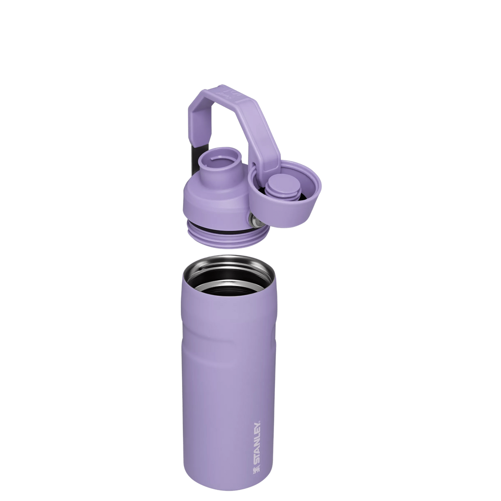 IceFlow™ Bottle with Fast Flow Lid | 16 OZ - Hydrate the Day