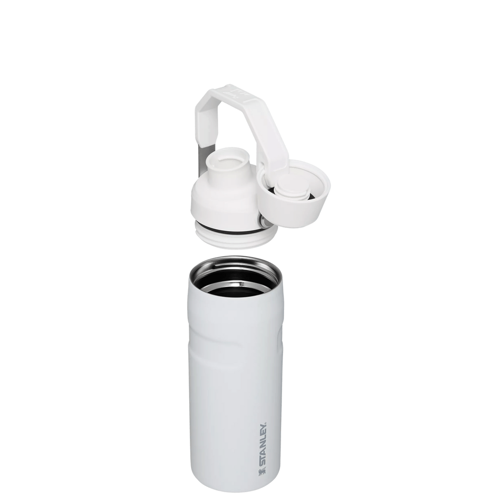 IceFlow™ Bottle with Fast Flow Lid | 16 OZ - Hydrate the Day